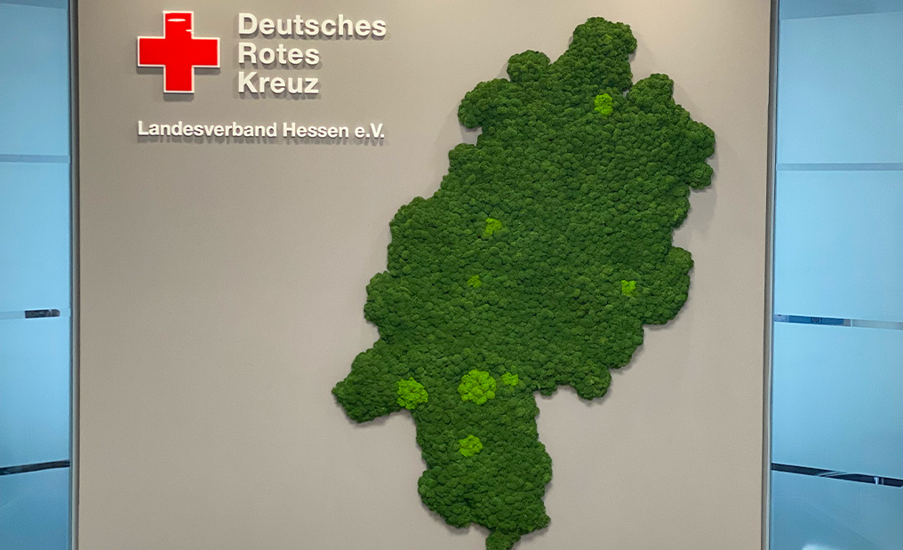 Omid Behimehr