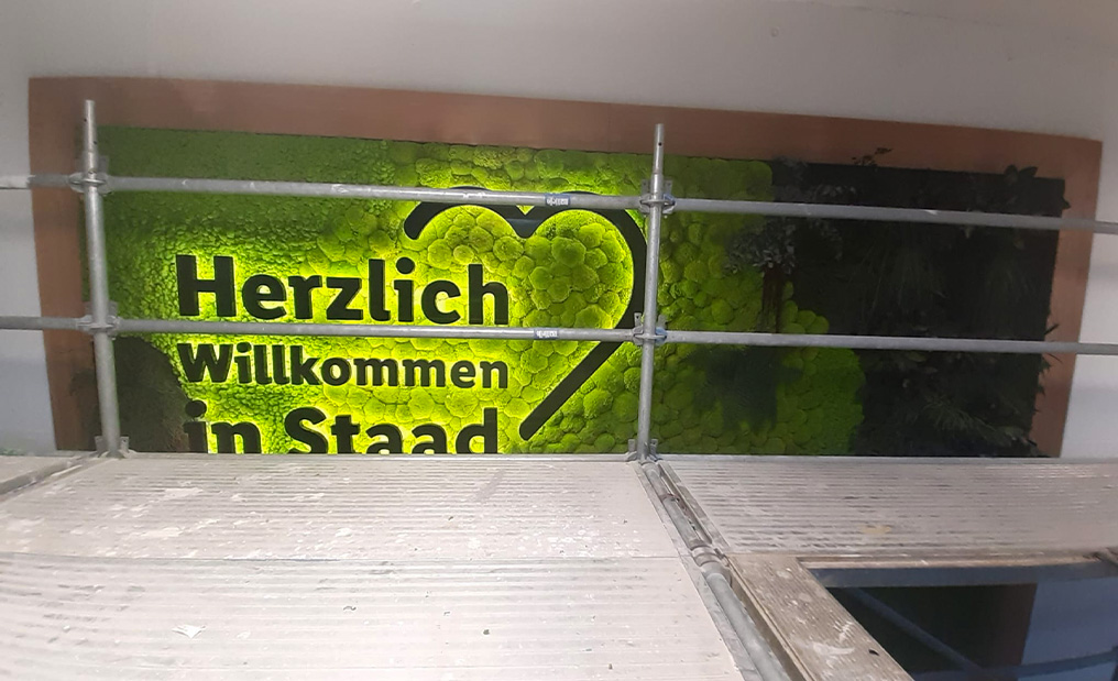 Dominik Wellauer